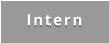 Intern