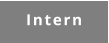 Intern
