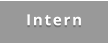 Intern
